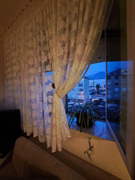 Quiet, Cozy, Luminous Tirana